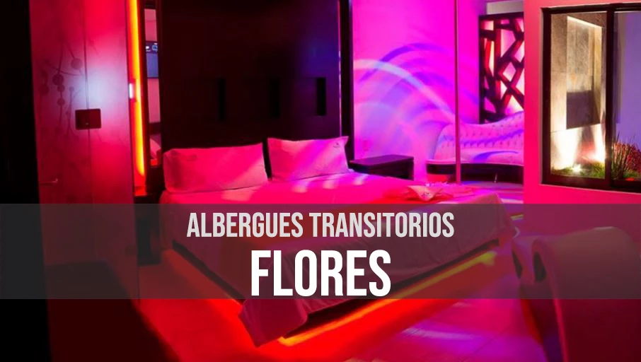 Albergues transitorios en Flores